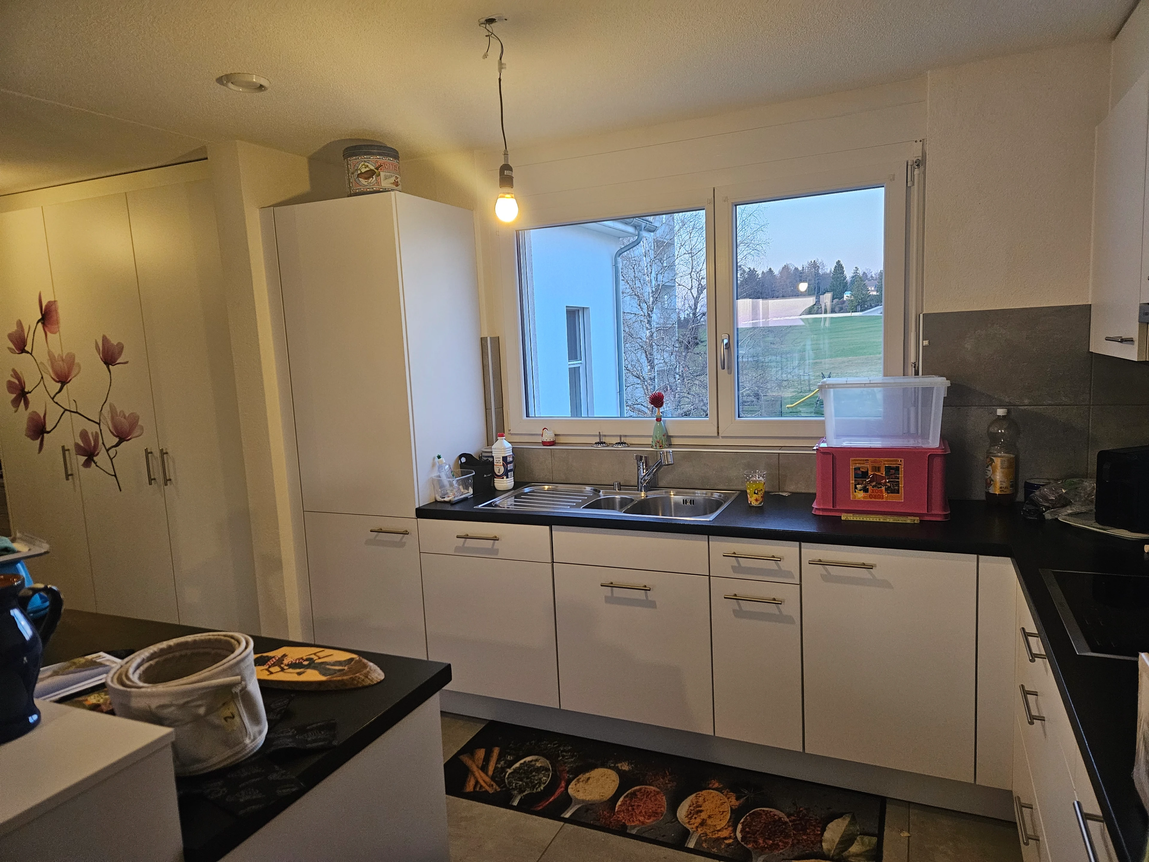 3.5 pièces avec vue imprenable et transversale — photo 3