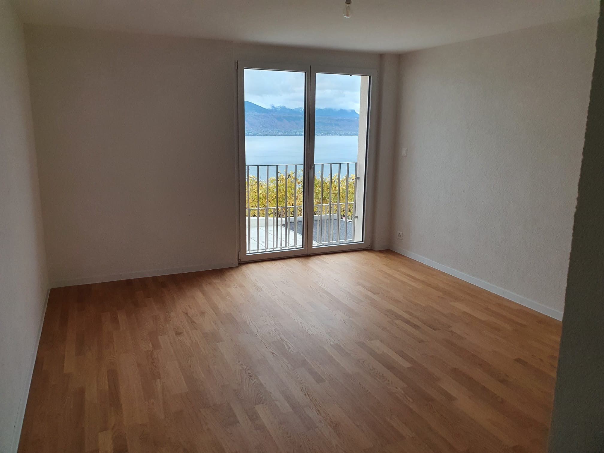 Maison 5,5 pièces avec vue panoramique sur le Léman — photo 2