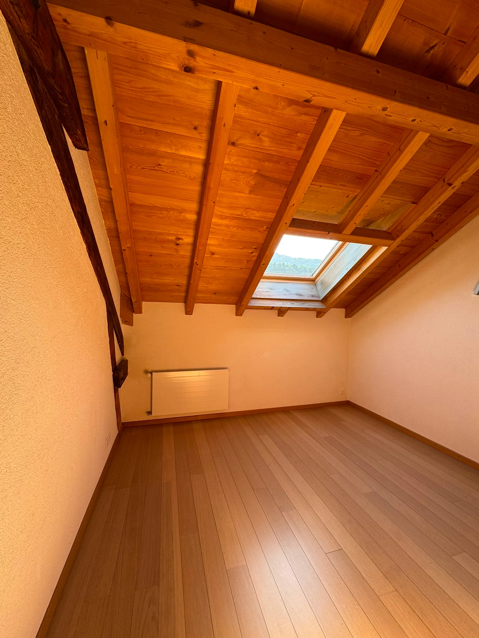 Grand Duplex de 3.5 pièces — photo 6
