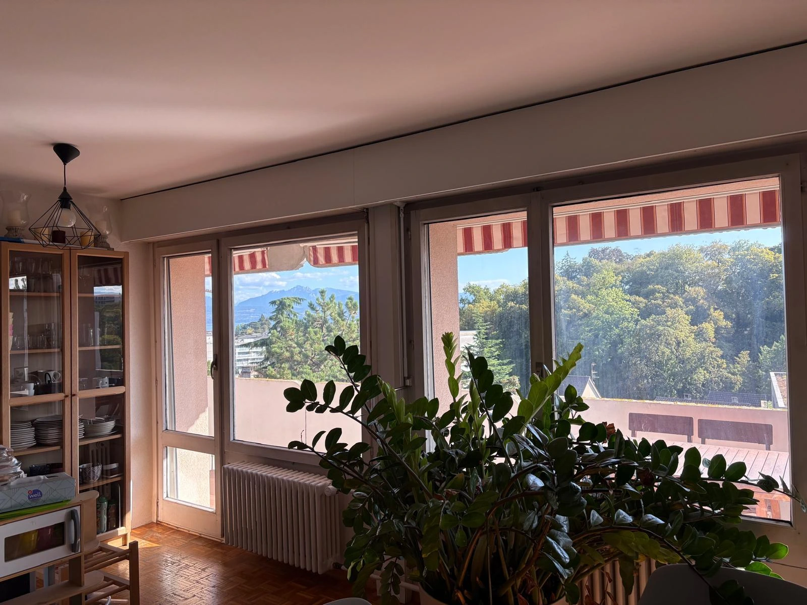 🌿 Magnifique 3,5 pièces avec vue panoramique Lac & Mont-Blanc – Morges 🌿 — photo 3