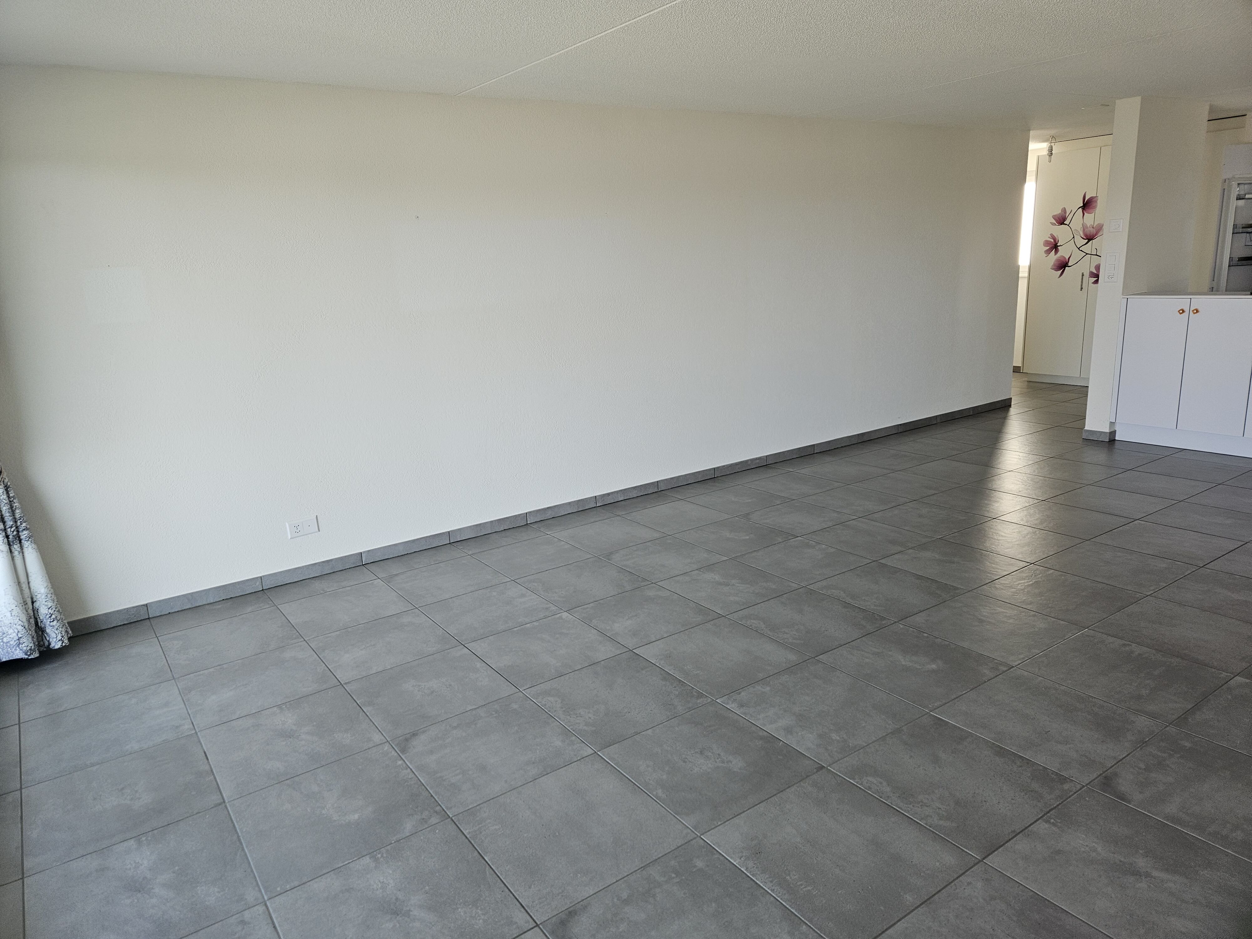 Appartement de 3 1/2 pièces avec vue imprenable et transversale. Splendides couchers de soleil toute l'année ! — photo 3